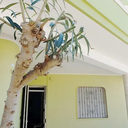 Casa Linda *