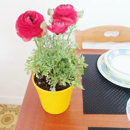 בית נופש Casa Linda
